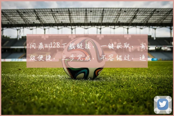 问鼎wd28下载链接，一键获取，高效便捷，三步完成，不容错过，速来体验
