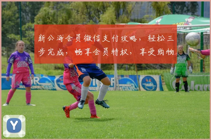 新公海会员微信支付攻略，轻松三步完成，畅享会员特权，享受购物乐趣，告别繁琐