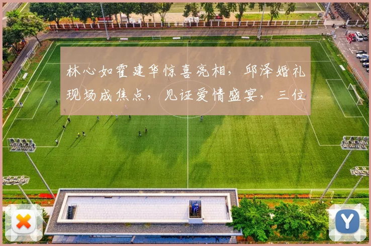 林心如霍建华惊喜亮相，邱泽婚礼现场成焦点，见证爱情盛宴，三位明星同框