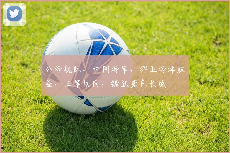 公海舰队，中国海军，捍卫海洋权益，三军协同，铸就蓝色长城