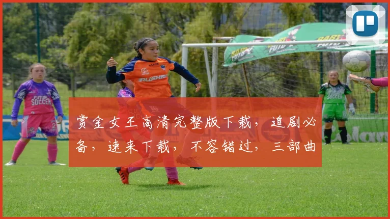 赏金女王高清完整版下载，追剧必备，速来下载，不容错过，三部曲连播