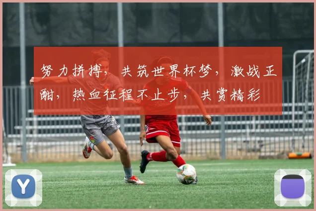 努力拼搏，共筑世界杯梦，激战正酣，热血征程不止步，共赏精彩